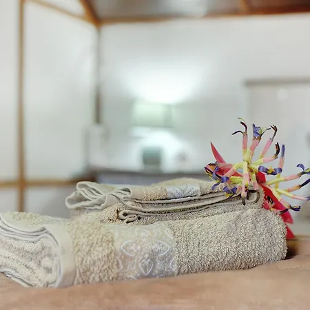 Luci's House São Jorge