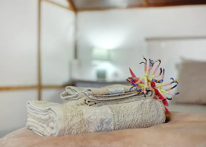 Luci's House São Jorge